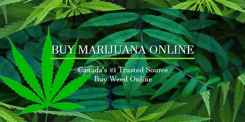 buying marijuana online