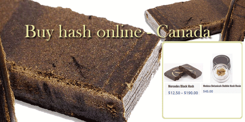 buy-hash-online