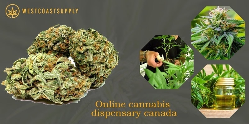 online cannabis dispensary canada