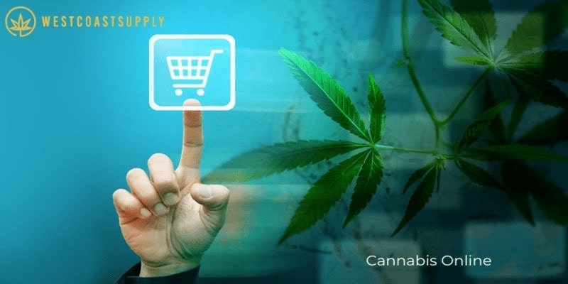 Cannabis Online