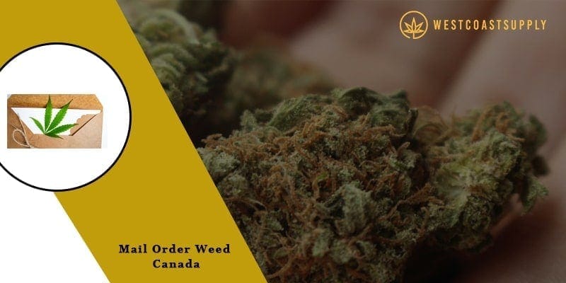 mail order weed Canada