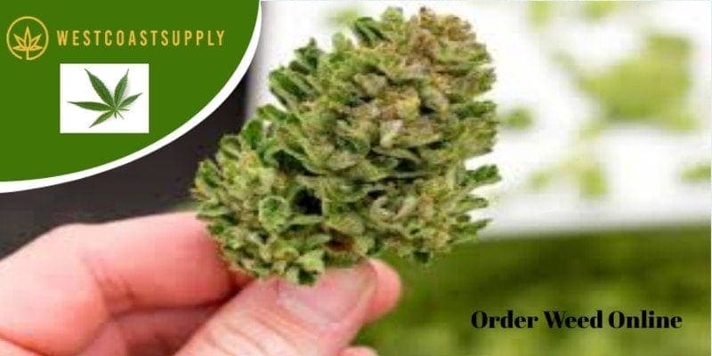 order weed online at westcoastsupply