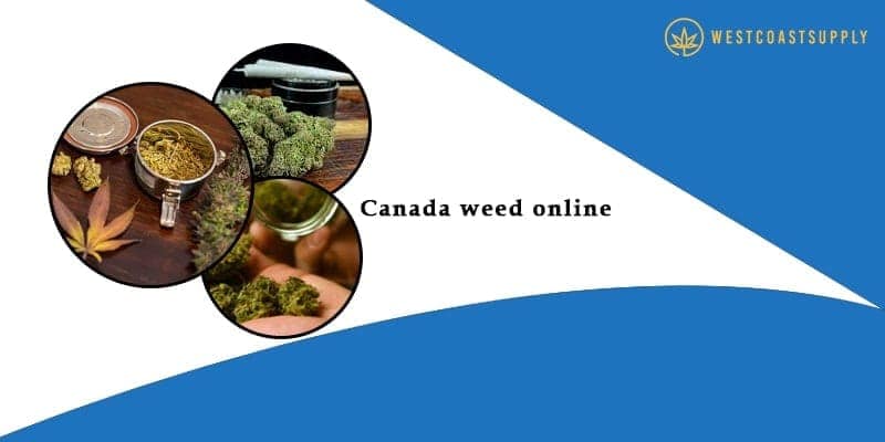 canada weed online marijuana online delivery service