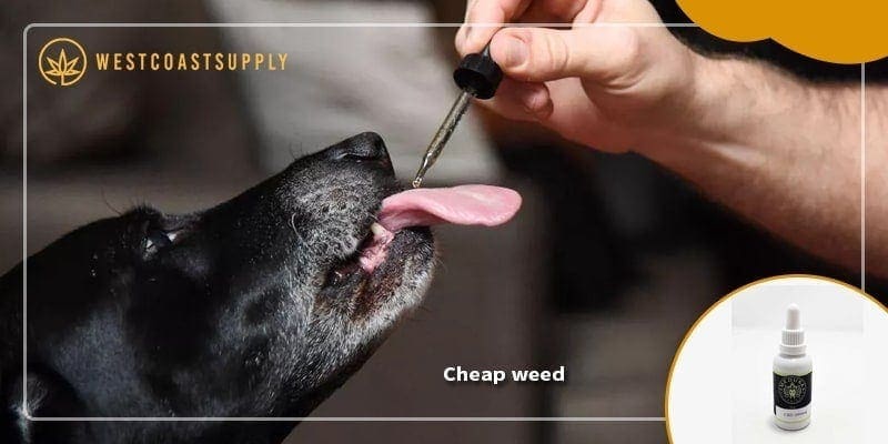 cheap weed