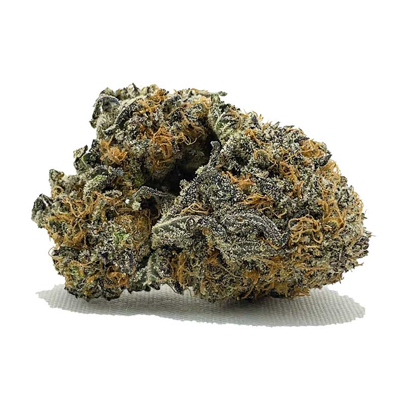 grease monkey strain 1 Grease Monkey AAA