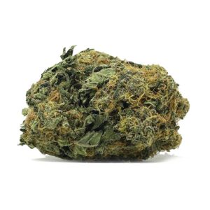 Cali Lemon Dream AAA