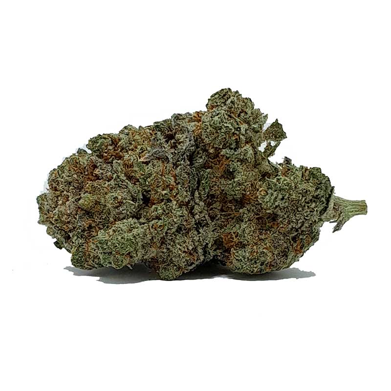 Tropic Truffle Strain Buy Online Weed West Coast Supply