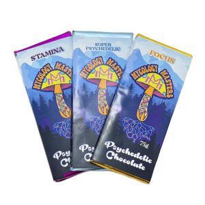 Mycology Masters Psychedelic Chocolate - Stamina 3000mg