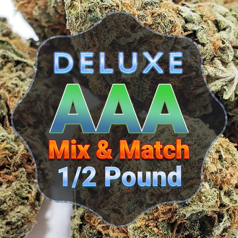 How to Choose an Online Marijuana Dispensary for Buying High-Quality Weed 2