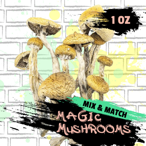 Mix and Match Magic Mushroom 1 Oz