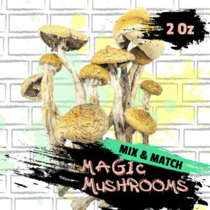 Mix and Match Magic Mushroom 2 Oz