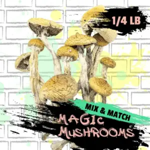 Magic Mushroom Mix and Match Quarter Pound in Canada