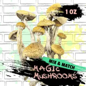 Magic Mushroom Mix and Match Ounce in Canada
