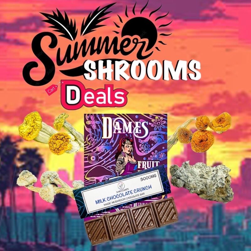 Summer Shroom Bundle (Mega Value)