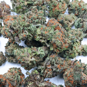 Thin Mint Girl Scout Cookies AA