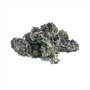 Purple Berry AA