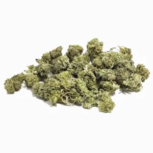Buy Girl Scout Cookies AA Weed in Canada – Indica Hybrid Strain