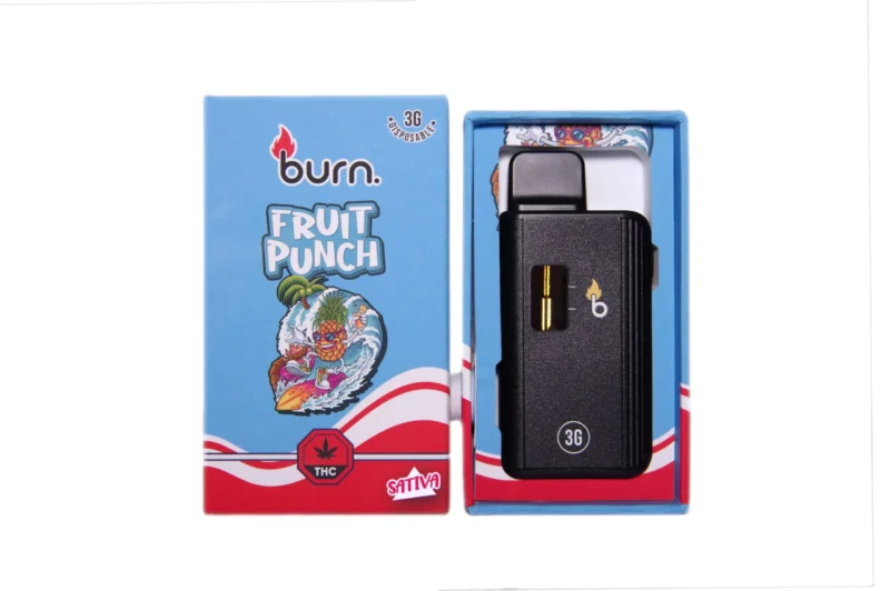 Burn Disposable Vape - 3g