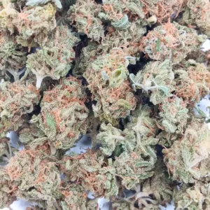 Acapulco Gold AA