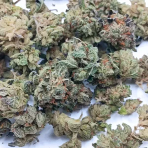 Green Crack AA