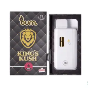 Burn THC Disposable Vape Pen - 2g