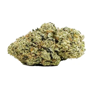 Buy Gorilla Bomb AA Weed in Canada – High THC Hybrid Strain