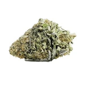 Buy Maui Wowie Weed in Canada – High THC Hawaiian Sativa Strain