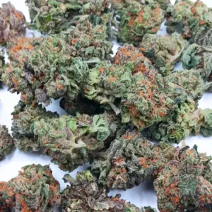 Death Bubba AA cannabis strain – budget-friendly high THC indica weed in Canada