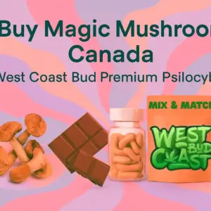 Magic Mushrooms
