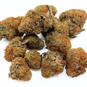 California Orange Weed