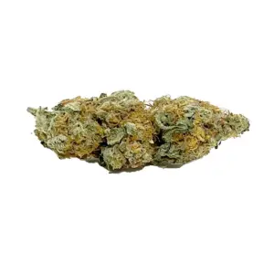 Buy Trainwreck Weed Online Canada – Hybrid Cannabis Strain with Pine & Citrus Flavour