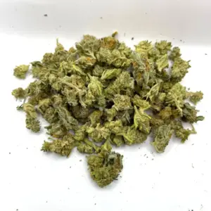 Girl Scout Cookies AA | Potent Indica-Dominant Hybrid Strain