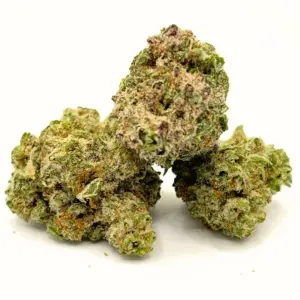 Orange Crush AA | Sweet Citrus Sativa-Dominant Hybrid