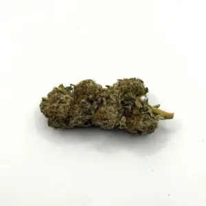 Tropicana Cookies AAAAA (CRAFT)