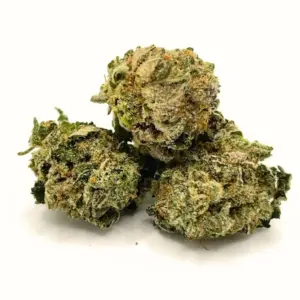 9 Pound Hammer AA | Heavy-Hitting Indica with Grape & Berry Flavour
