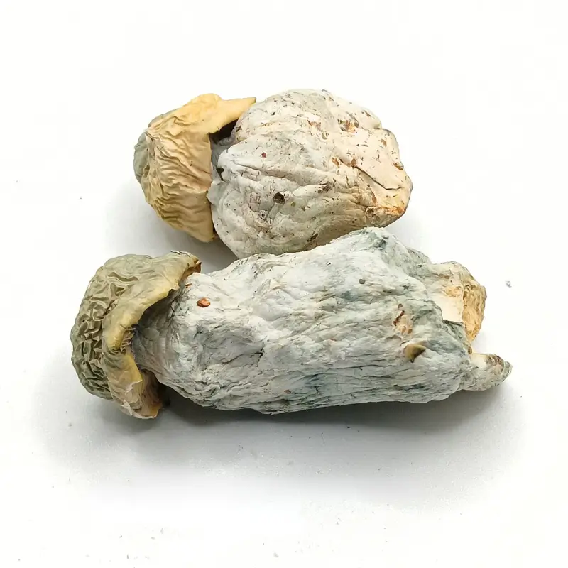 Albino Tidal Wave 1 Albino Tidal Wave