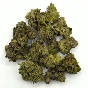 Granddaddy Purple AA