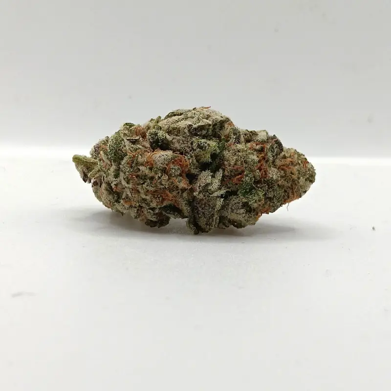 durban poison 1 Durban Poison AAA