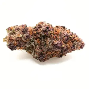 Orange Push Pop AAAAA