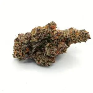 Grape Biscotti AAAAA