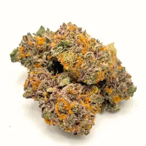 Magenta Hash Plant AAA