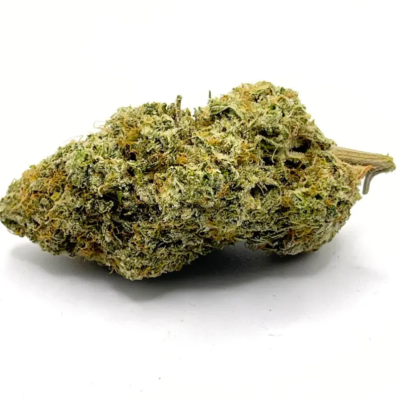 satan's bride 1 Satan's Bride AAA