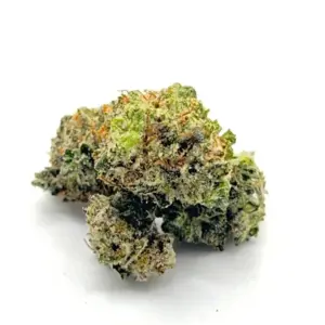 9 Pound Hammer AA | Heavy-Hitting Indica with Grape & Berry Flavour