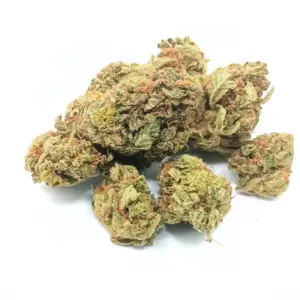 Pink Bubba AA | High-THC Indica with Floral & Pine Flavour