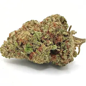 Trainwreck AA | Potent Hybrid with Pine & Citrus Flavour