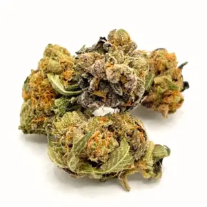 Gorilla Bomb AA | High THC hybrid cannabis
