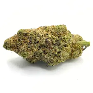 Gorilla Bomb AA | High THC hybrid cannabis