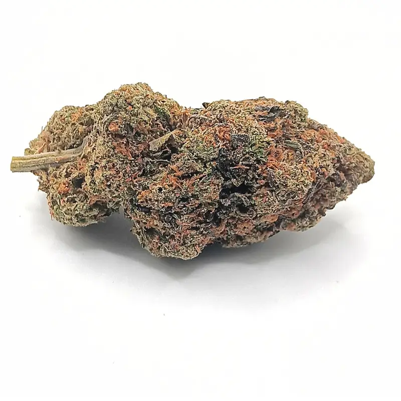 Hawaiian Haze 1 Hawaiian Haze AA