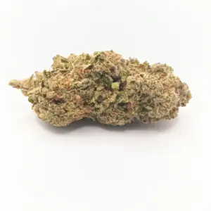 Mimosa AAA