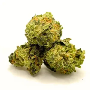 Orange Crush AA | Sweet Citrus Sativa-Dominant Hybrid
